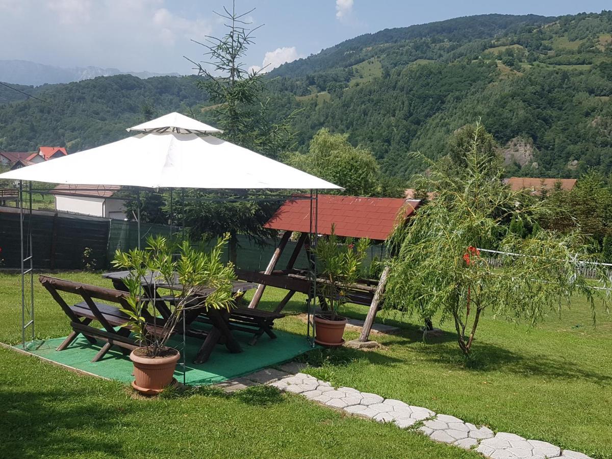 Pensiunea Casa Ady Бран Экстерьер фото