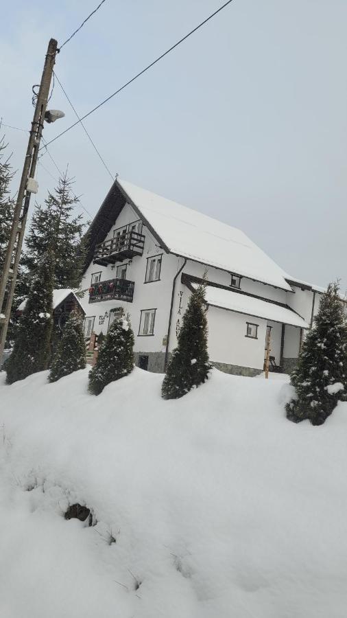 Pensiunea Casa Ady Бран Экстерьер фото