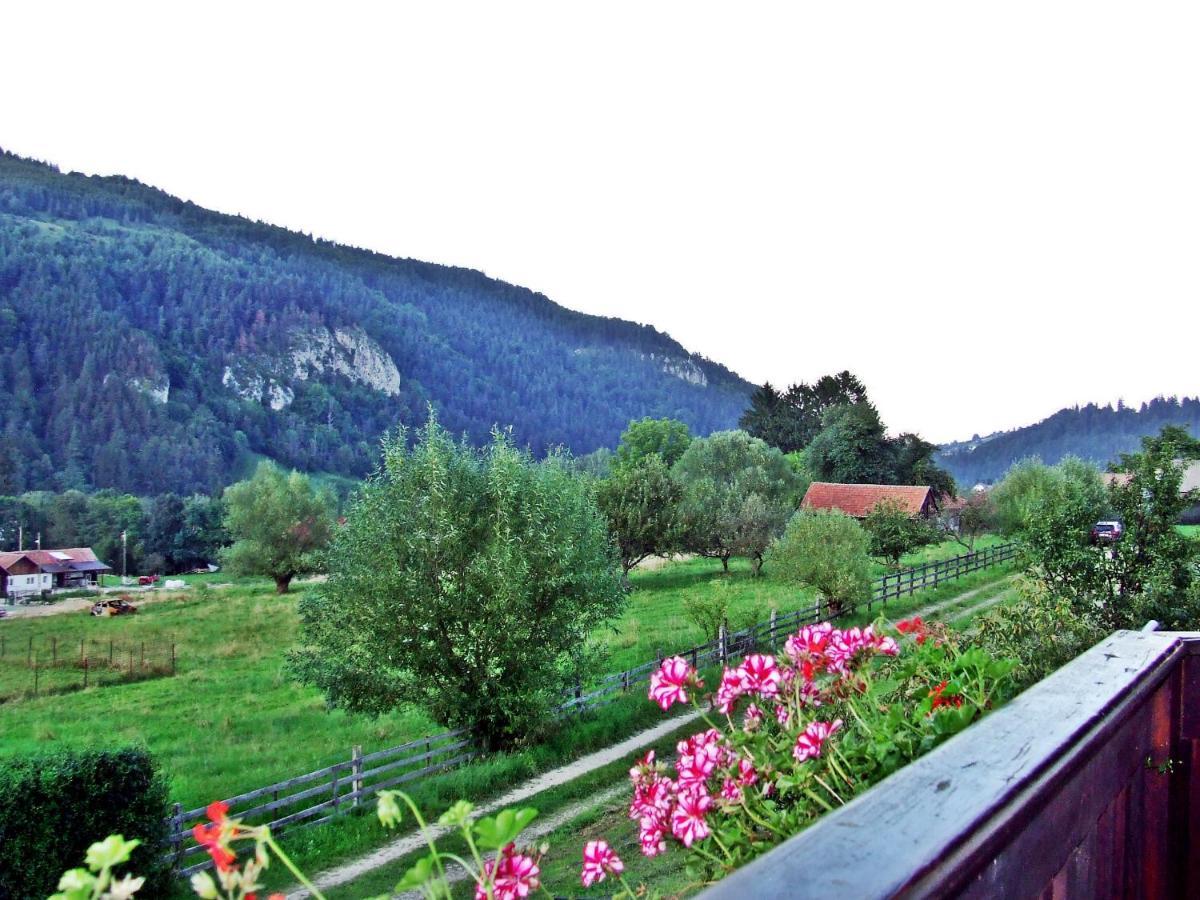 Pensiunea Casa Ady Бран Экстерьер фото