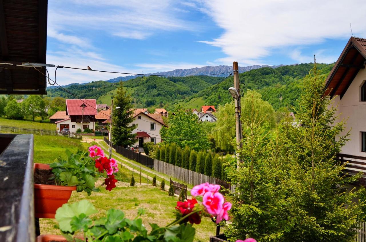 Pensiunea Casa Ady Бран Экстерьер фото